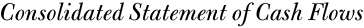 Consolidated Statement of Cash Flows